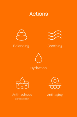 PHENIX EN PROVENCE®