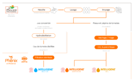 PHENIX EN PROVENCE®